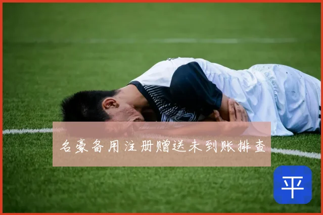 名豪备用注册赠送未到账排查