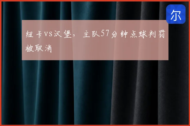 纽卡vs汉堡,主队57分钟点球判罚被取消